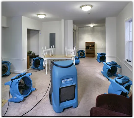 Water Damage Assessment in Kirby, TX