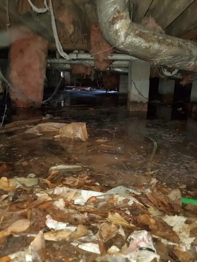 Crawl space flood assessment for Leak Detection & Repair in Kirby